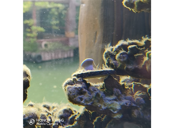 魚(yú)缸工程